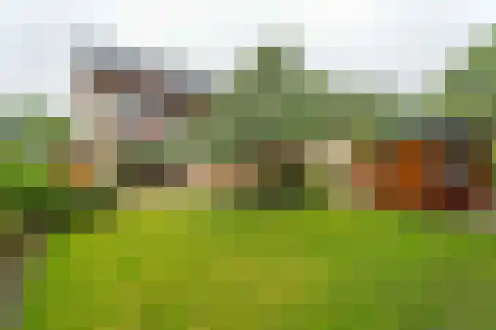 Wilgenlaan 1 Rijnsburg thumbnail 32