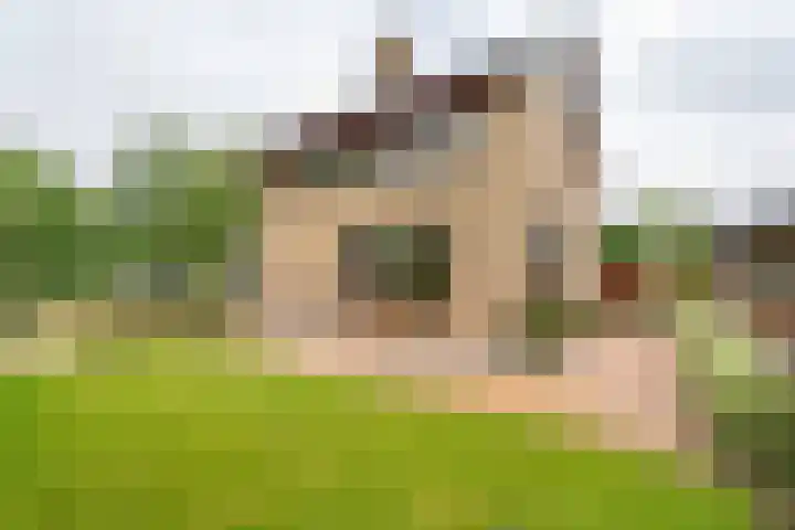 Wilgenlaan 1 Rijnsburg thumbnail 36