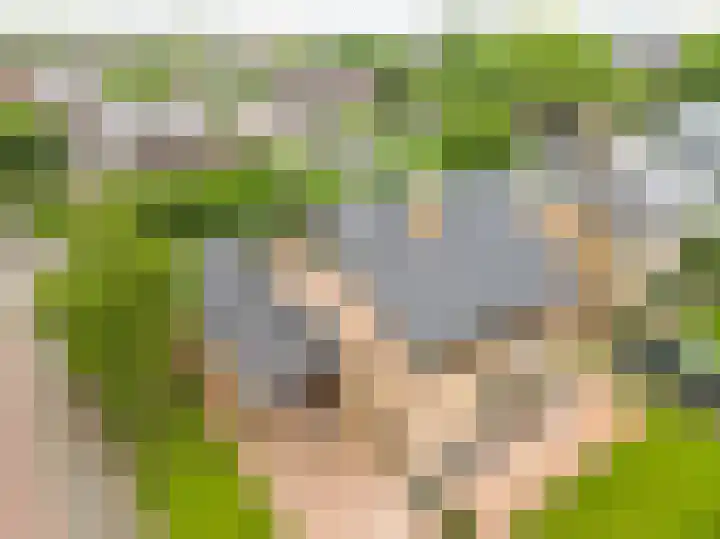 Wilgenlaan 1 Rijnsburg thumbnail 38