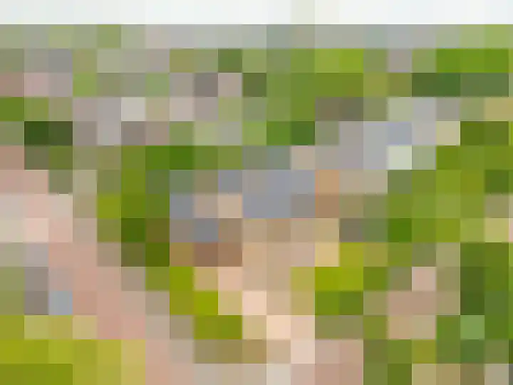Wilgenlaan 1 Rijnsburg thumbnail 39
