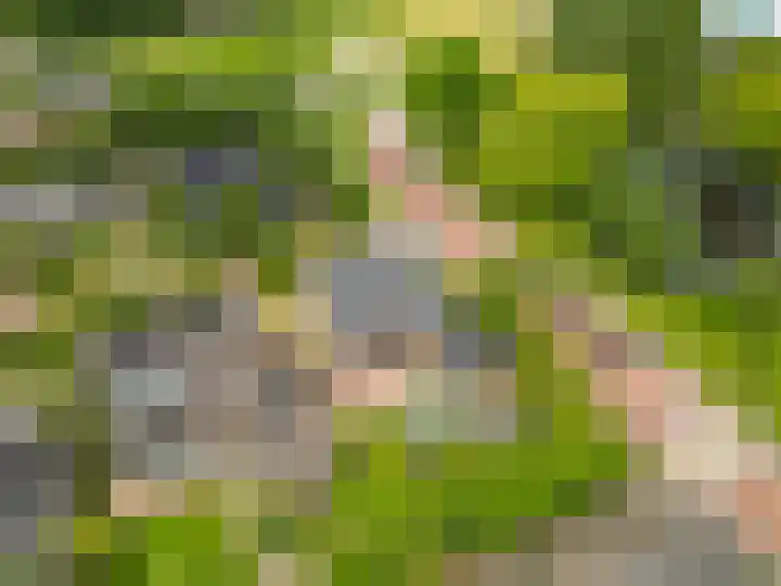 Wilgenlaan 1 Rijnsburg thumbnail 40