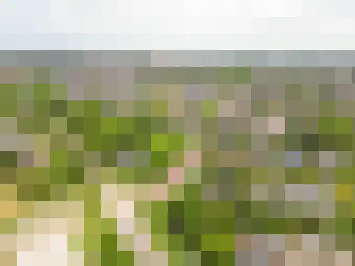 Wilgenlaan 1 Rijnsburg thumbnail 43