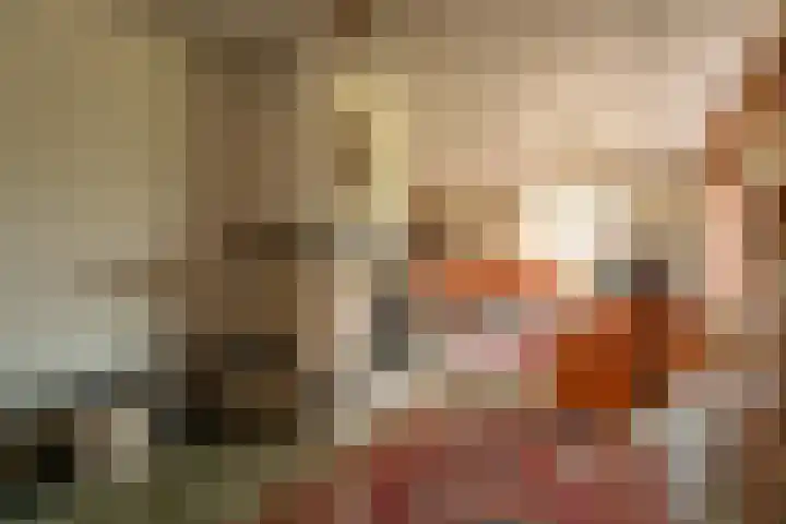 Wilgenlaan 1 Rijnsburg thumbnail 5
