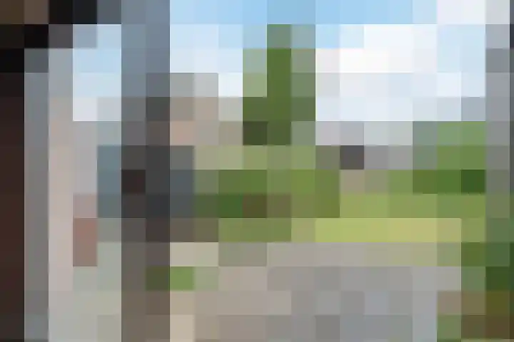 Wilgenlaan 1 Sint Pancras thumbnail 14