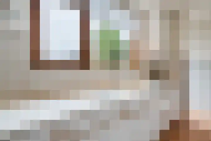 Wilgenlaan 1 Sint Pancras thumbnail 19