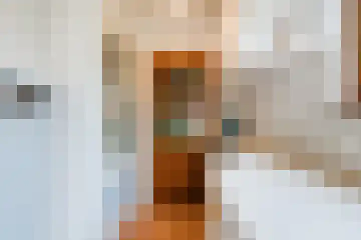 Wilgenlaan 1 Sint Pancras thumbnail 21