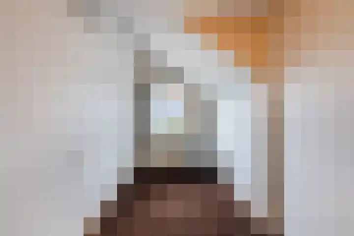 Wilgenlaan 1 Sint Pancras thumbnail 24
