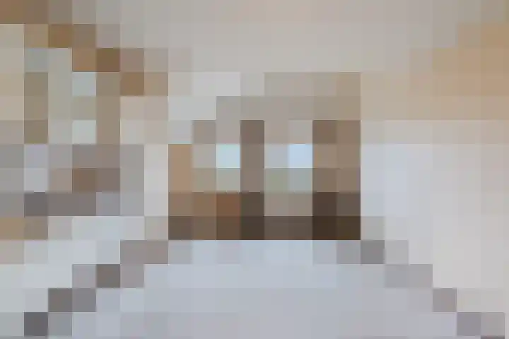 Wilgenlaan 1 Sint Pancras thumbnail 26