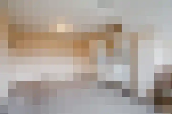Wilgenlaan 1 Sint Pancras thumbnail 27