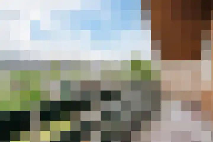 Wilgenlaan 1 Sint Pancras thumbnail 28
