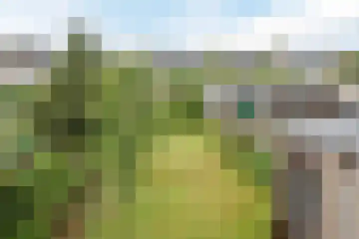 Wilgenlaan 1 Sint Pancras thumbnail 29