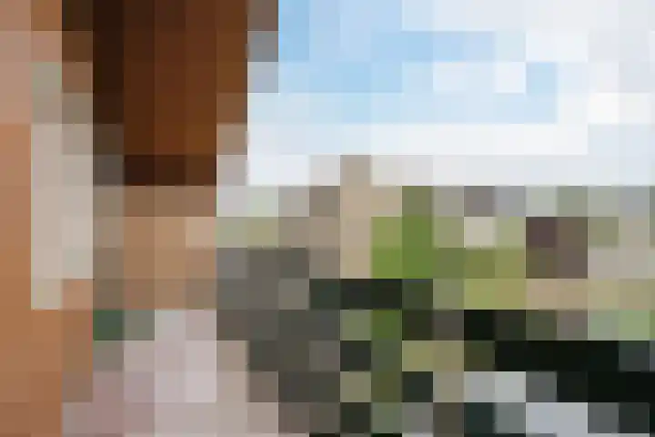 Wilgenlaan 1 Sint Pancras thumbnail 30