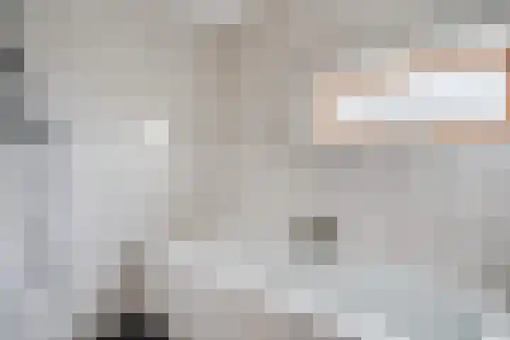Wilgenlaan 1 Sint Pancras thumbnail 33