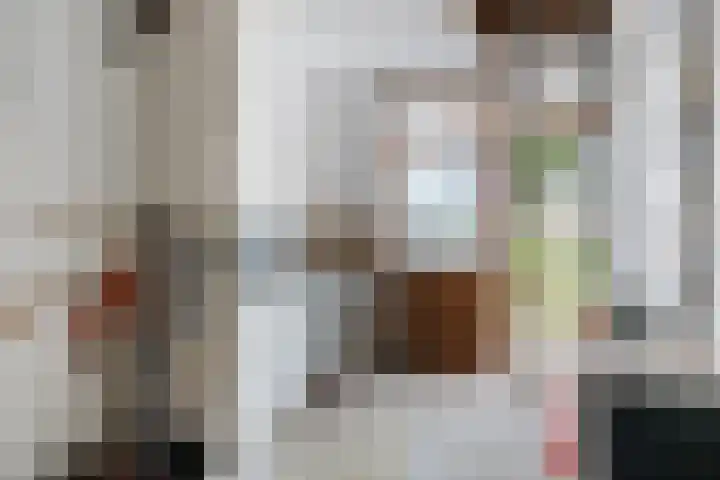 Wilgenlaan 1 Sint Pancras thumbnail 37