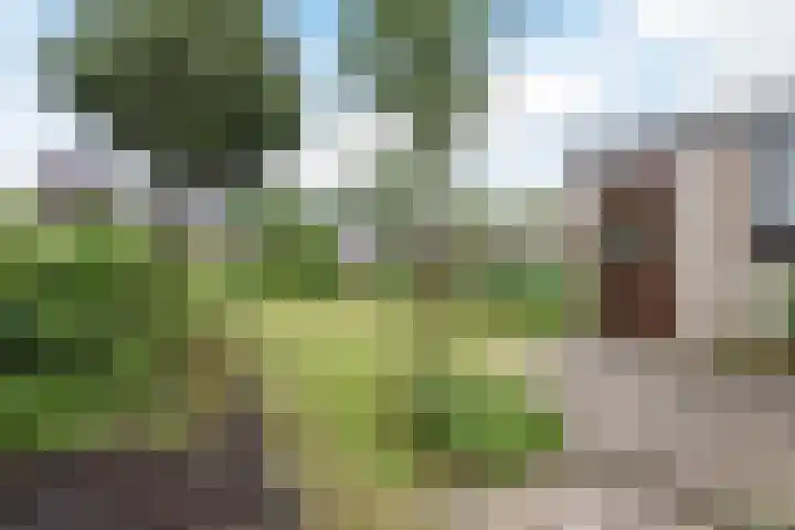 Wilgenlaan 1 Sint Pancras thumbnail 39