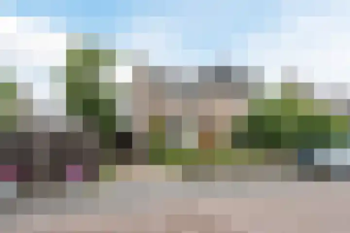 Wilgenlaan 1 Sint Pancras thumbnail 4