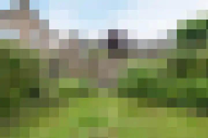 Wilgenlaan 1 Sint Pancras thumbnail 41