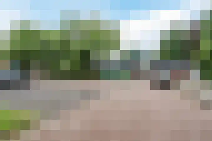 Wilgenlaan 1 Sint Pancras thumbnail 44