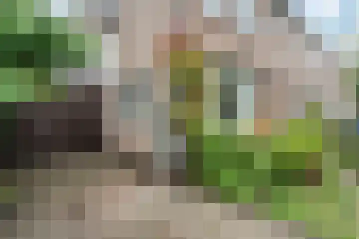 Wilgenlaan 1 Sint Pancras thumbnail 5