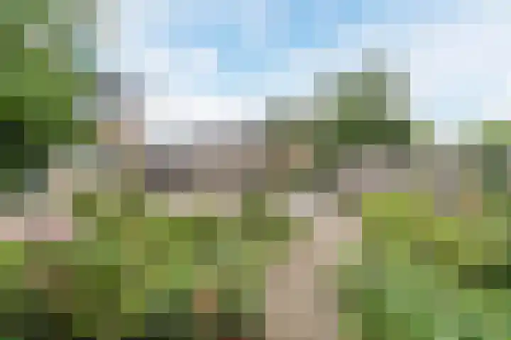 Wilgenlaan 1 Sint Pancras thumbnail 6