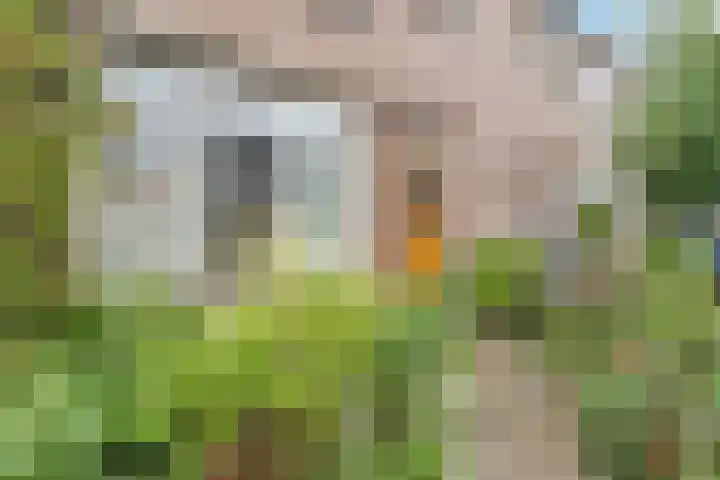 Wilgenlaan 1 Sint Pancras thumbnail 7