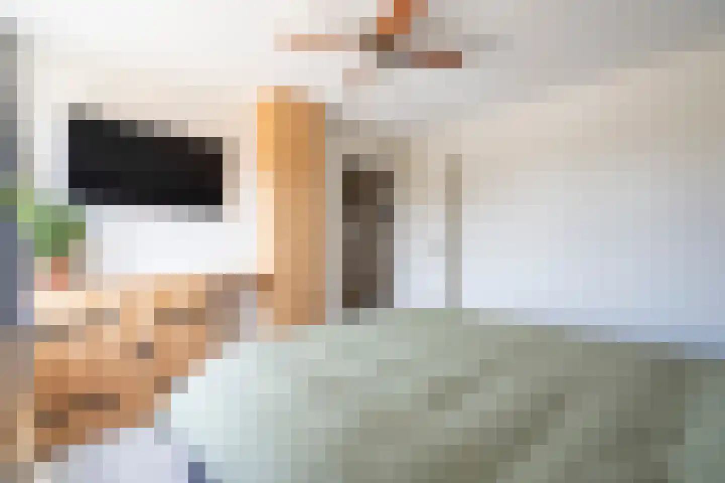 Wilgenlaan 10 Herwijnen thumbnail 17