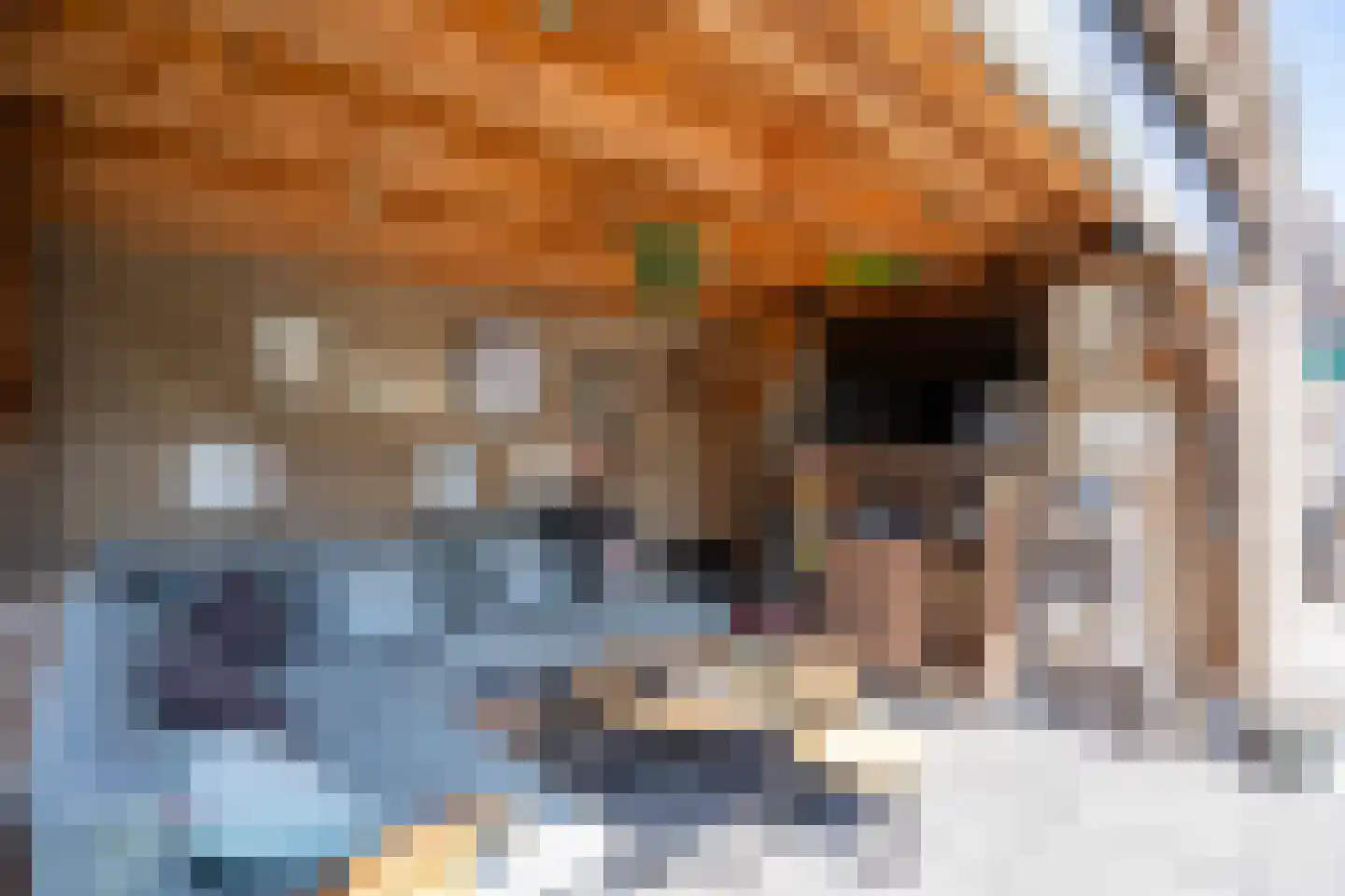 Wilgenlaan 10 Herwijnen thumbnail 30