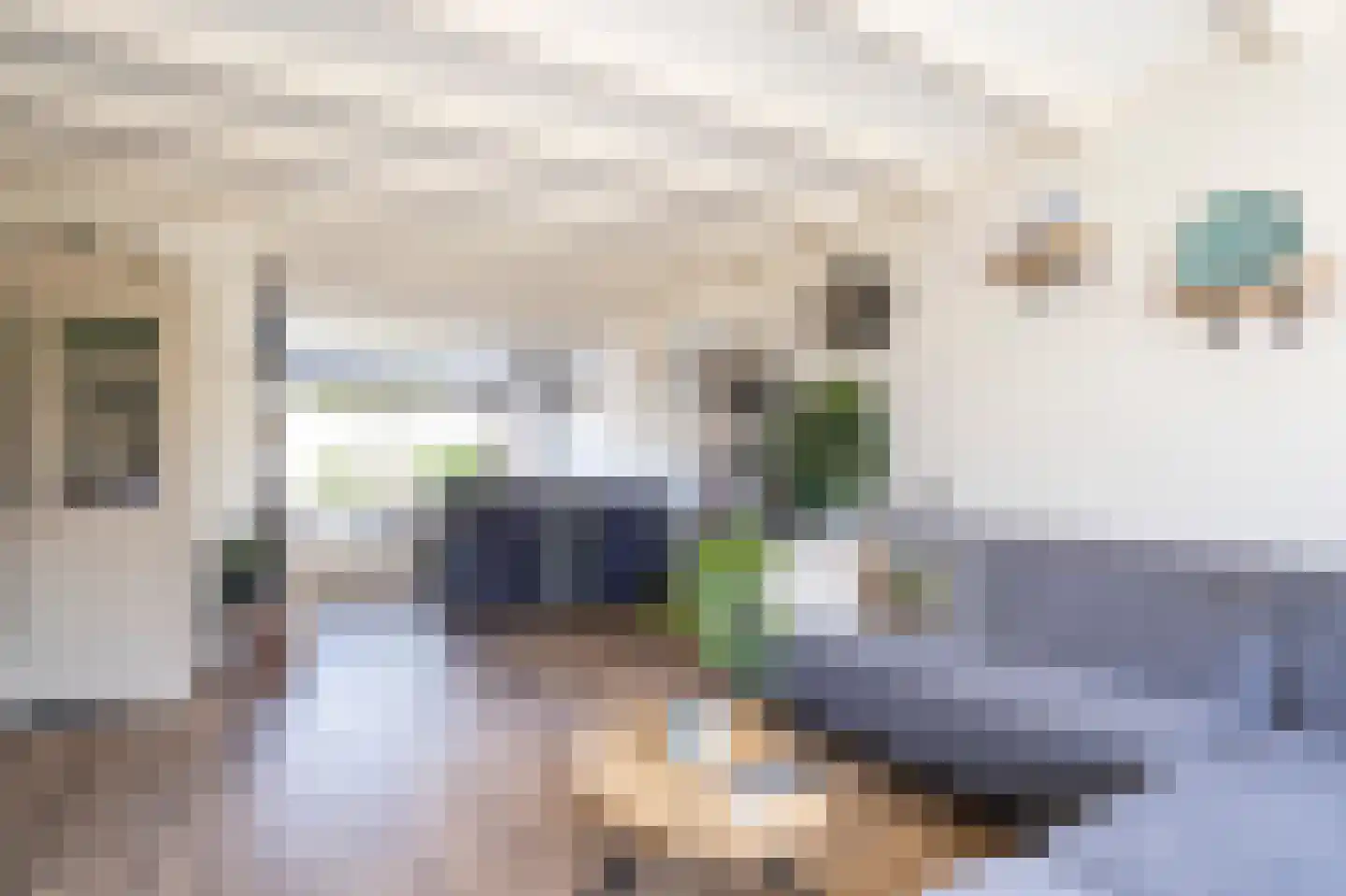 Wilgenlaan 10 Herwijnen thumbnail 5