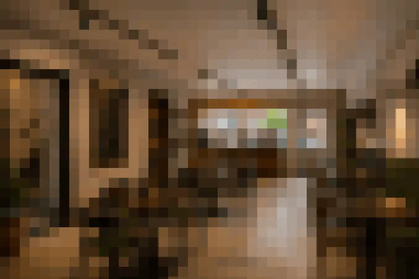 Wilgenlaan 111 Zwanenburg thumbnail 12