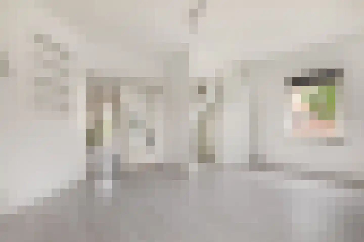 Wilgenlaan 111 Zwanenburg thumbnail 5