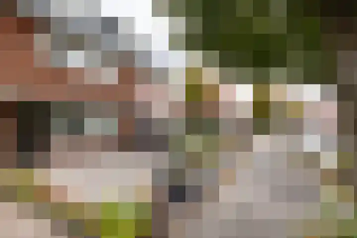 Wilgenlaan 113 Zwanenburg thumbnail 26
