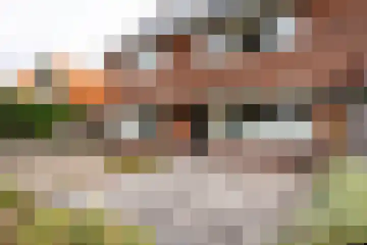 Wilgenlaan 113 Zwanenburg thumbnail 5