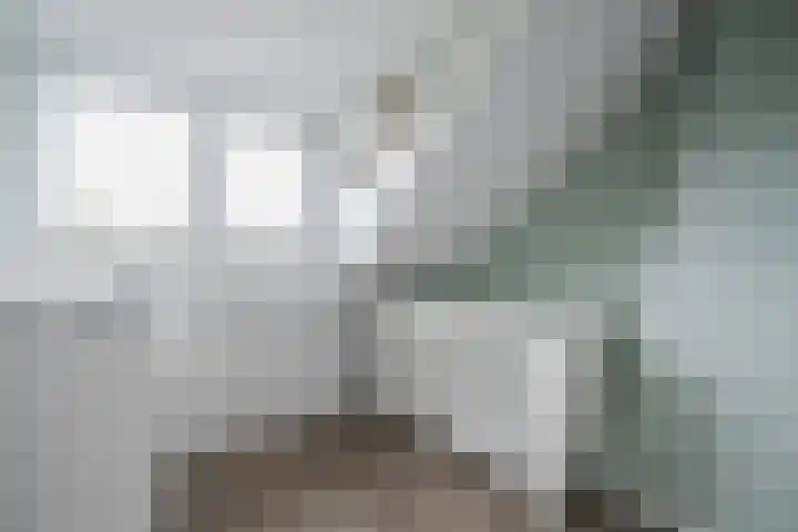 Wilgenlaan 12 Heerhugowaard thumbnail 28