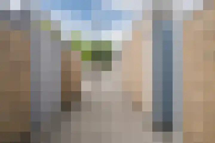 Wilgenlaan 12 Heerhugowaard thumbnail 38