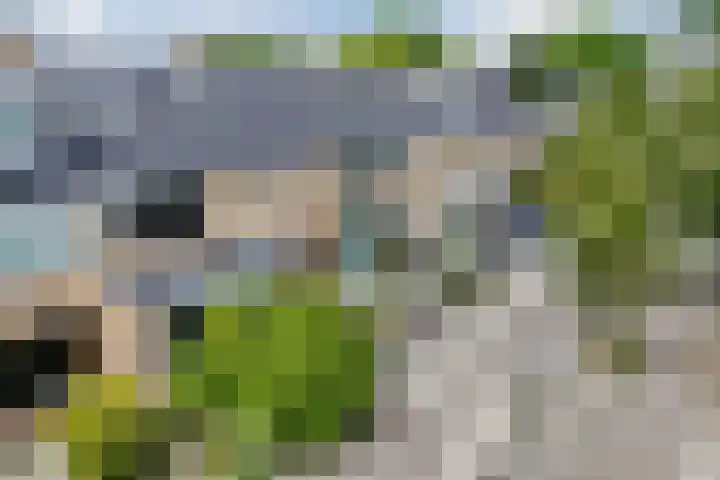 Wilgenlaan 12 Heerhugowaard thumbnail 40