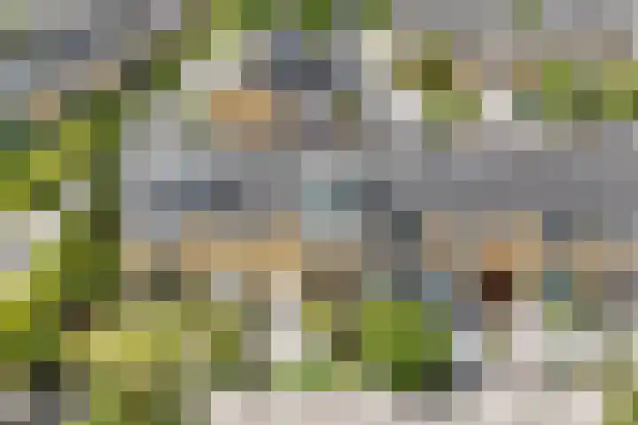 Wilgenlaan 12 Heerhugowaard thumbnail 41