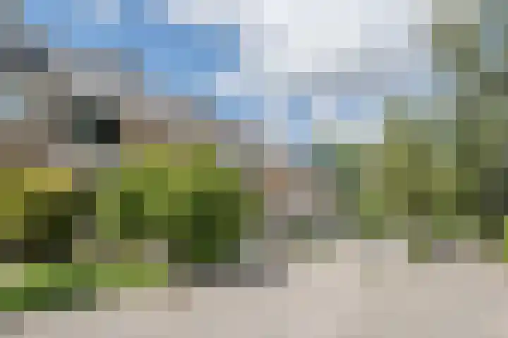 Wilgenlaan 12 Heerhugowaard thumbnail 43