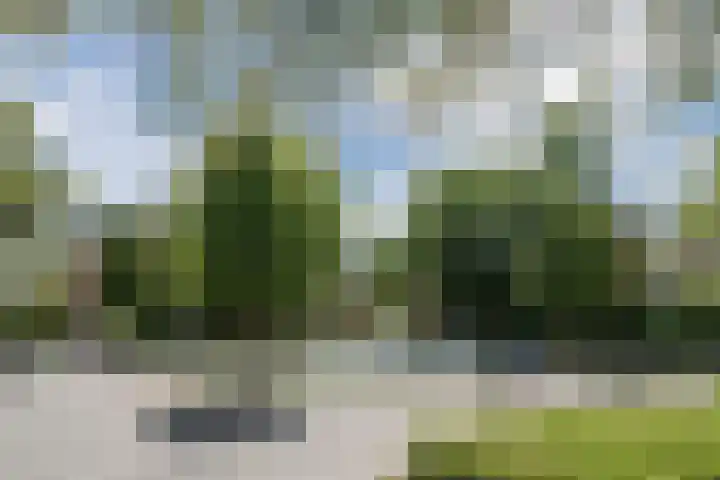 Wilgenlaan 12 Heerhugowaard thumbnail 44