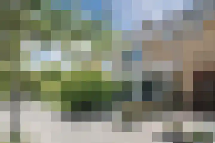 Wilgenlaan 12 Heerhugowaard thumbnail 46