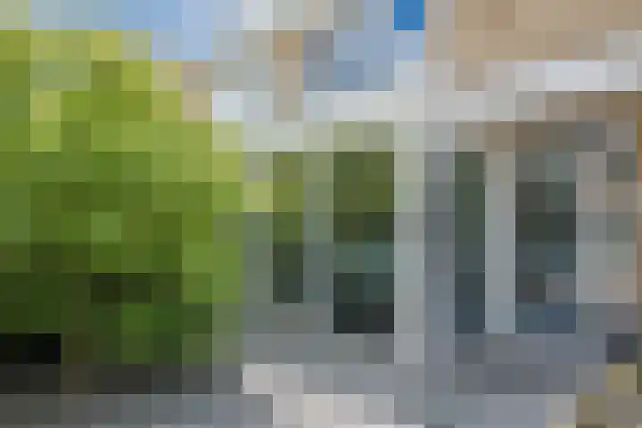 Wilgenlaan 12 Heerhugowaard thumbnail 6