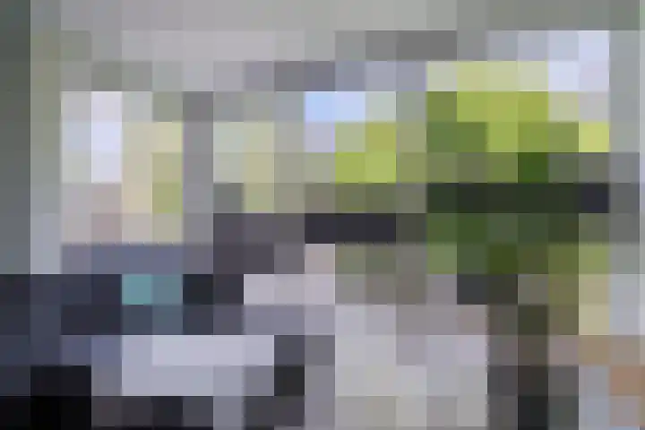 Wilgenlaan 12 Heerhugowaard thumbnail 8