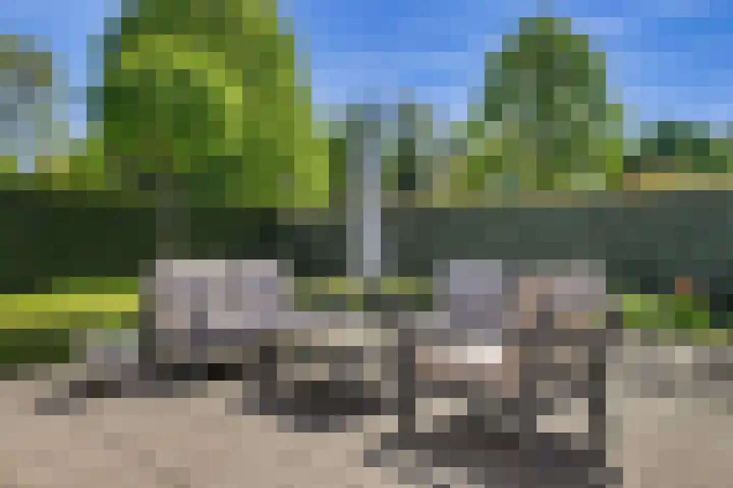 Wilgenlaan 12 Kamperland thumbnail 28