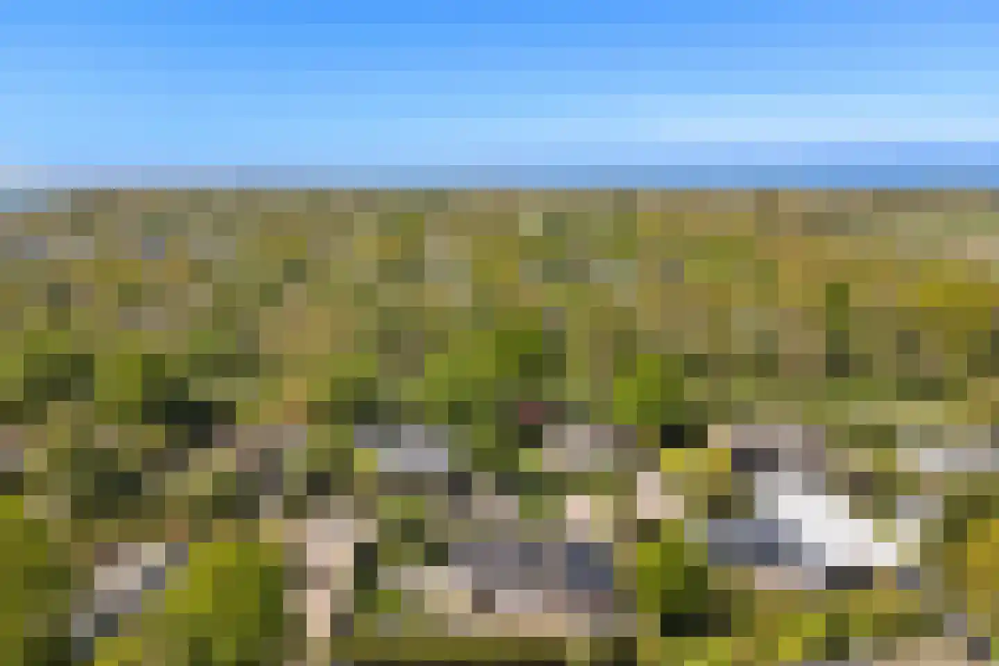 Wilgenlaan 12 Kamperland thumbnail 35