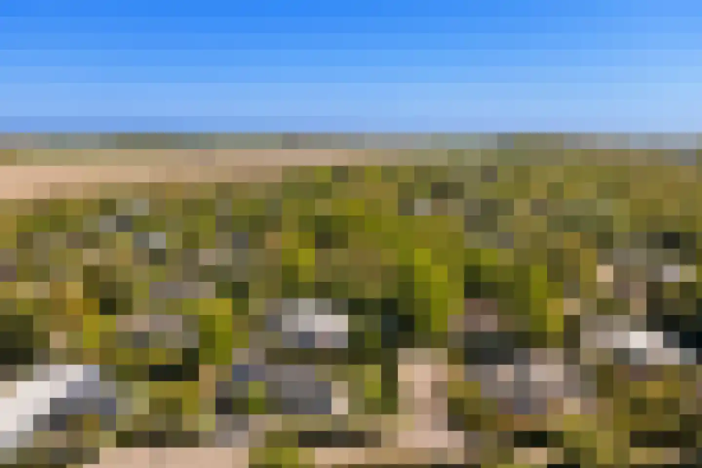 Wilgenlaan 12 Kamperland thumbnail 36