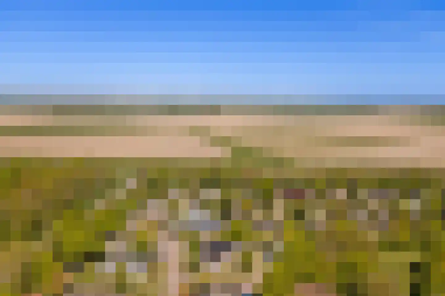 Wilgenlaan 12 Kamperland thumbnail 38