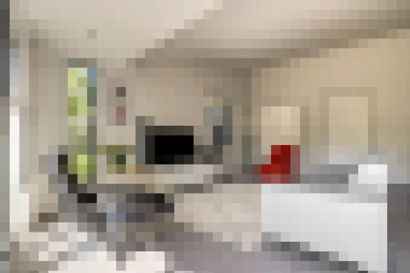 Wilgenlaan 12 Kamperland thumbnail 8