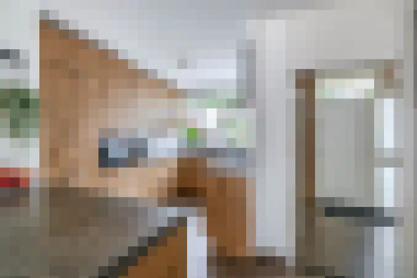 Wilgenlaan 12 Lisse thumbnail 10