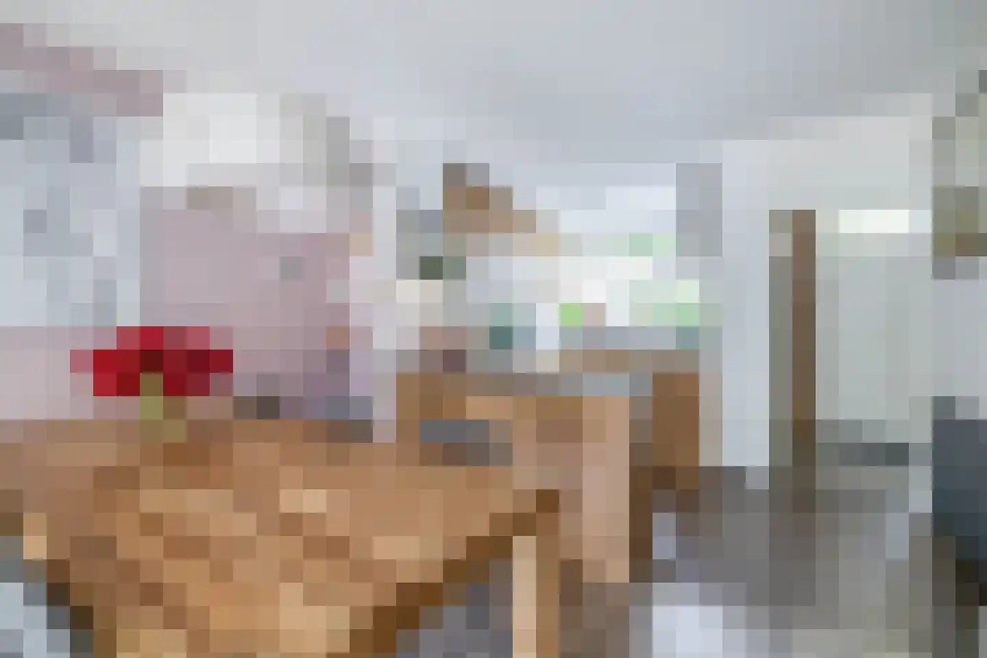 Wilgenlaan 12 Lisse thumbnail 15