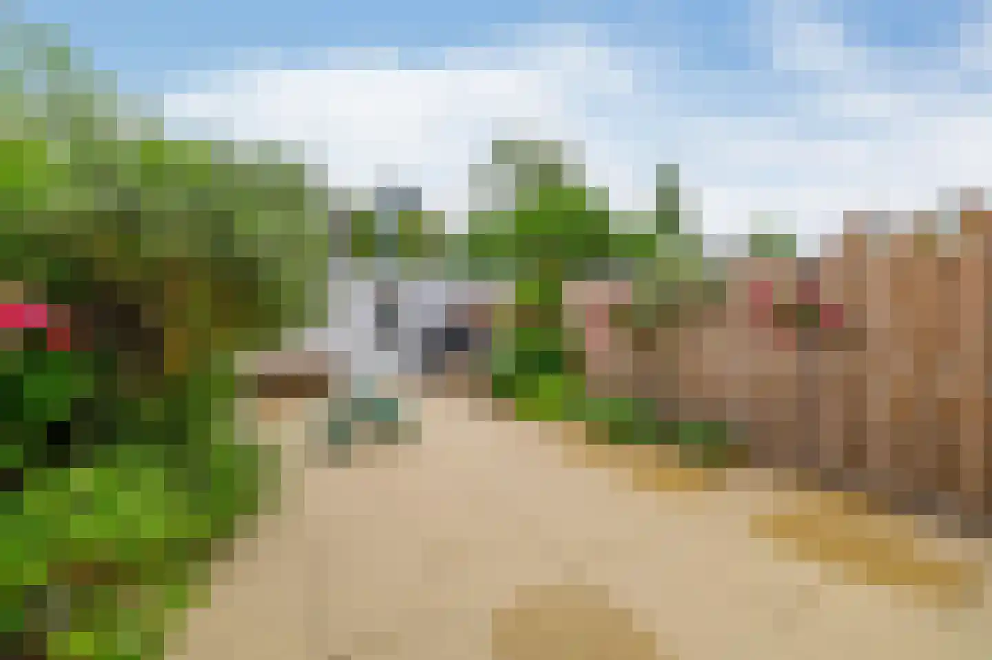 Wilgenlaan 12 Lisse thumbnail 17