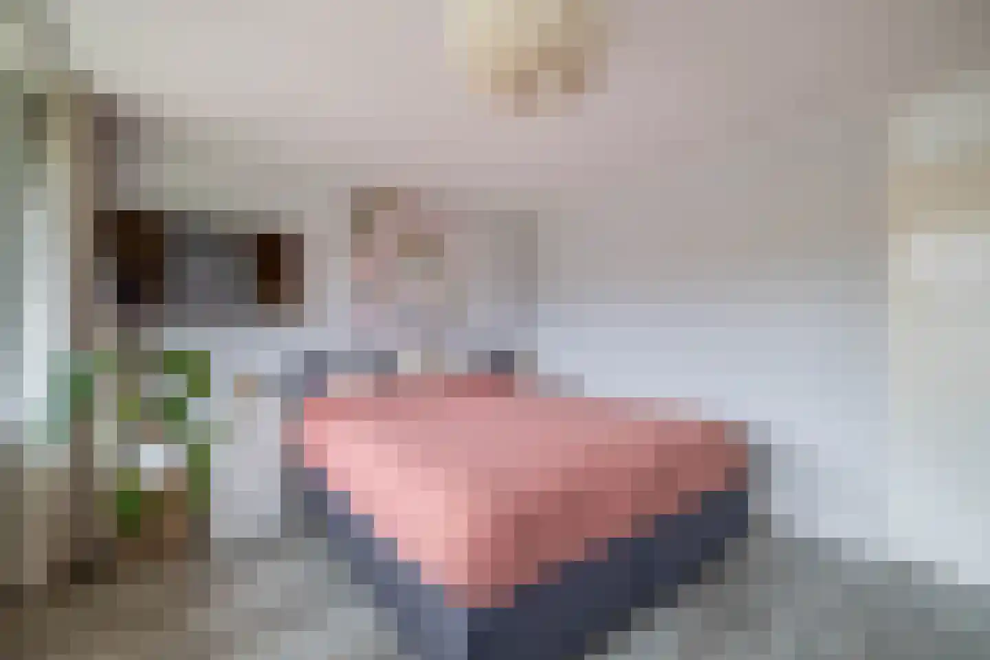Wilgenlaan 12 Lisse thumbnail 25